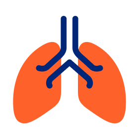 lungs icon